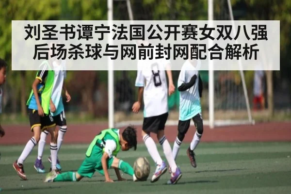 刘圣书谭宁法国公开赛女双八强后场杀球与网前封网配合解析