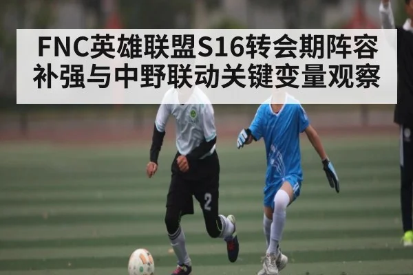 FNC英雄联盟S16转会期阵容补强与中野联动关键变量观察